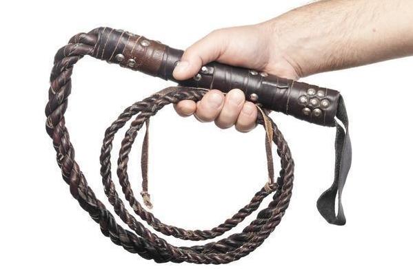 狗狗犯错了骂小狗是对的吗,狗狗犯错了打了它会不会记仇