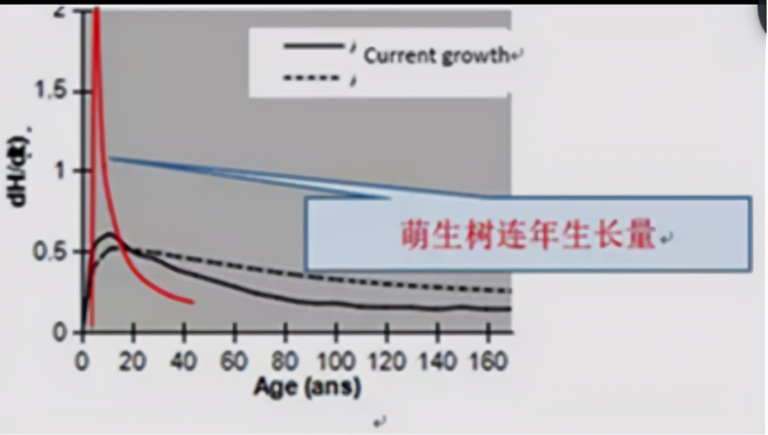 树木由来,树木从远古到现在