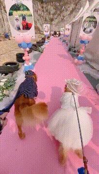 男子被车撞出3米求生欲,求生欲创造奇迹男子被撞