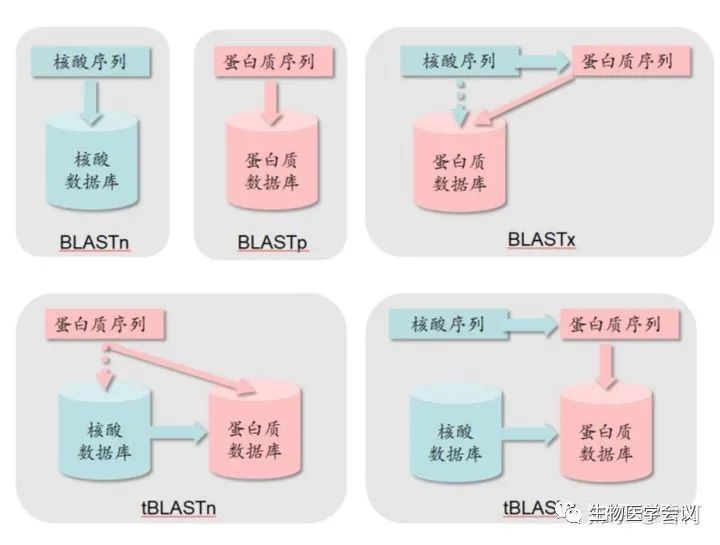 生物信息学入门的87个名词,一张表看懂生物信息学