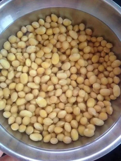 绿萝忘浇水黄叶怎么治疗让它变绿,绿萝文竹总发黄1招让它绿油油