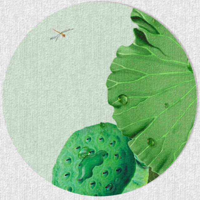 写夏天的诗句古诗小荷,诗词里的夏天经典诗句