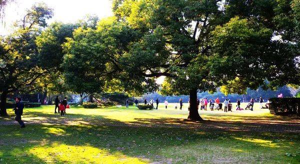 上海玩耍攻略,上海旅游景点交通攻略图