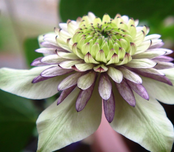 打动人心的走心句子语录,抚慰人心的句子句句透彻值得分享