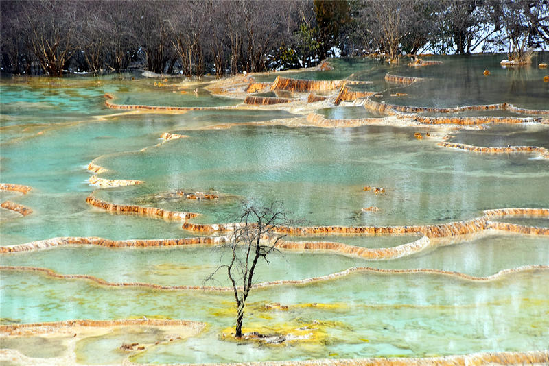 置身于童话中的九寨沟,畅游人间仙境黄龙九寨沟七日游