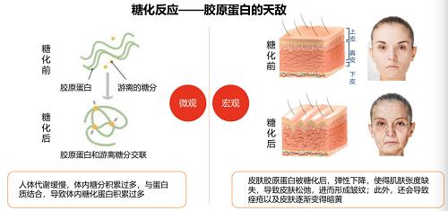活氣麗——时尚、健康与活气吃出来