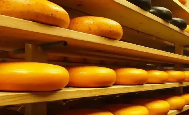 用哪款奶酪做蛋糕最好,做面包用哪款奶油奶酪