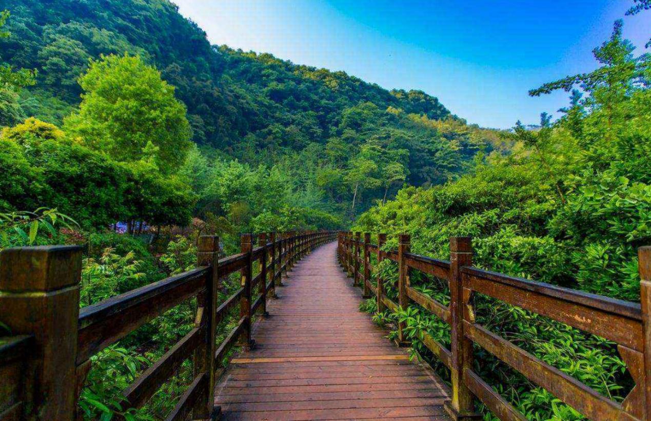 成都旅游必去十大景点推荐峨眉山,成都旅游必去十大景点推荐武侯祠