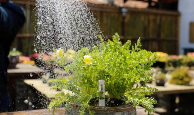 苏州民宿清静,苏州家庭式民宿8人便宜