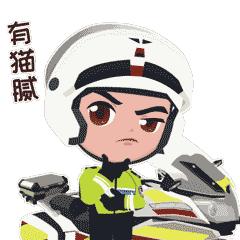 一个月查698宗交通违法,假牌上路被交警抓