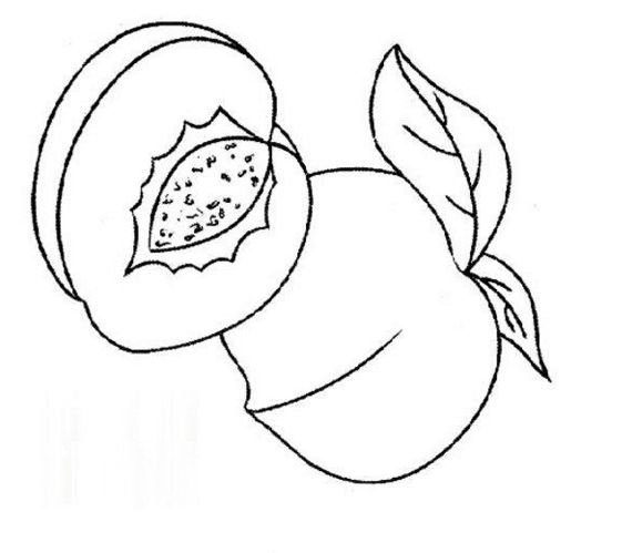 很多个苹果简笔画,宝宝苹果简笔画