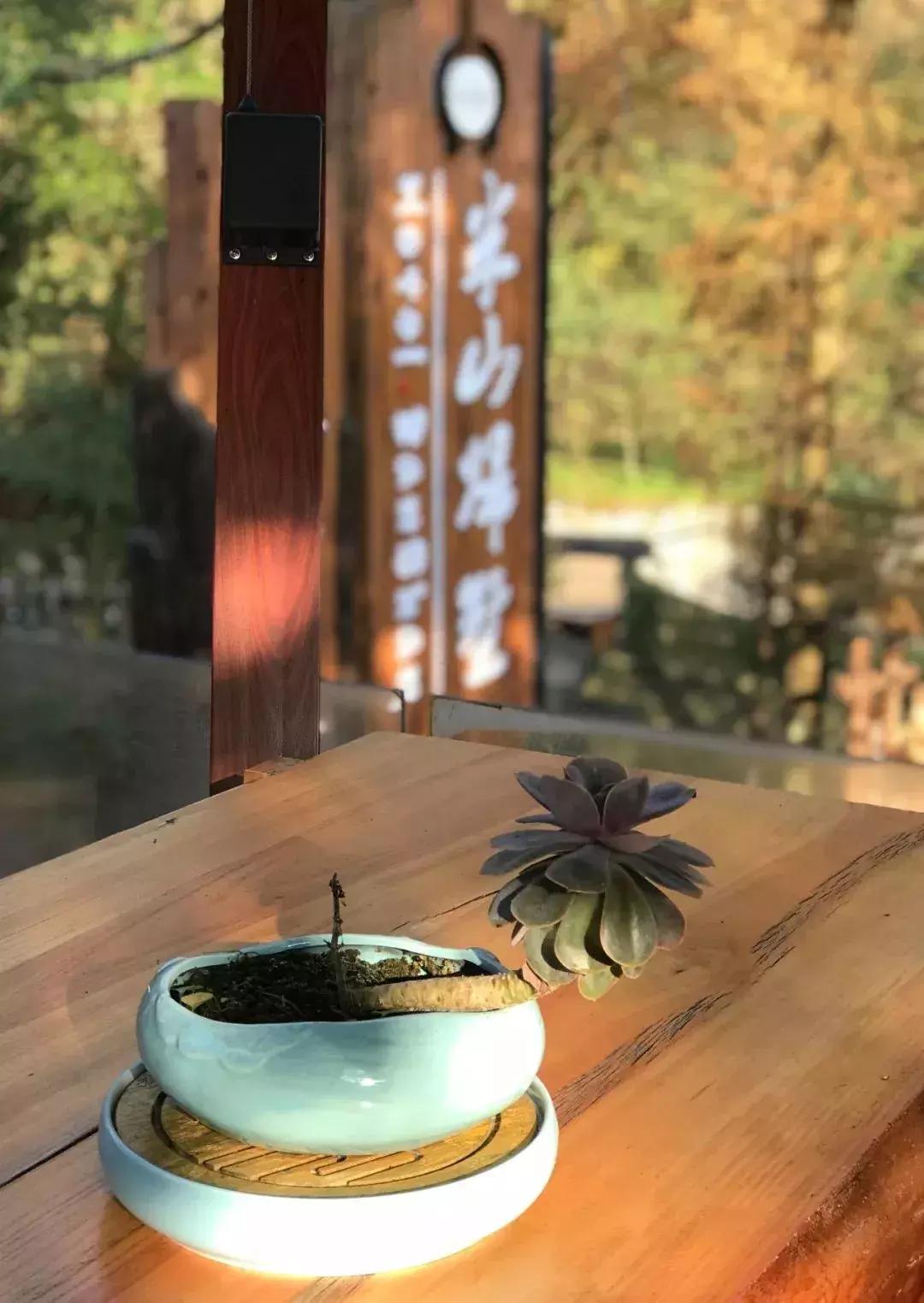 青城山隐居民宿幽悟原宿,睡进乡野民宿