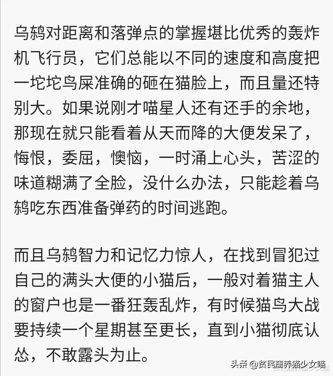 鸟的报复,鸟的报复心有多强