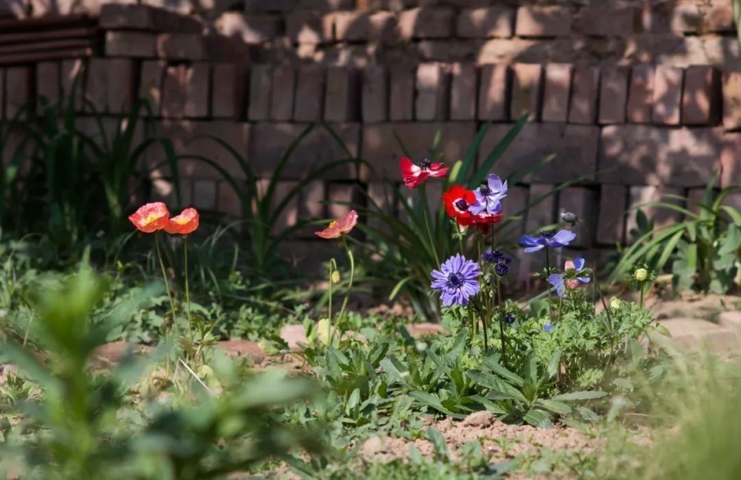 陆庆松:螺丝不肯拧紧