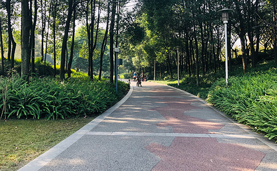 空港中央公园攻略,空港城市绿道骑行