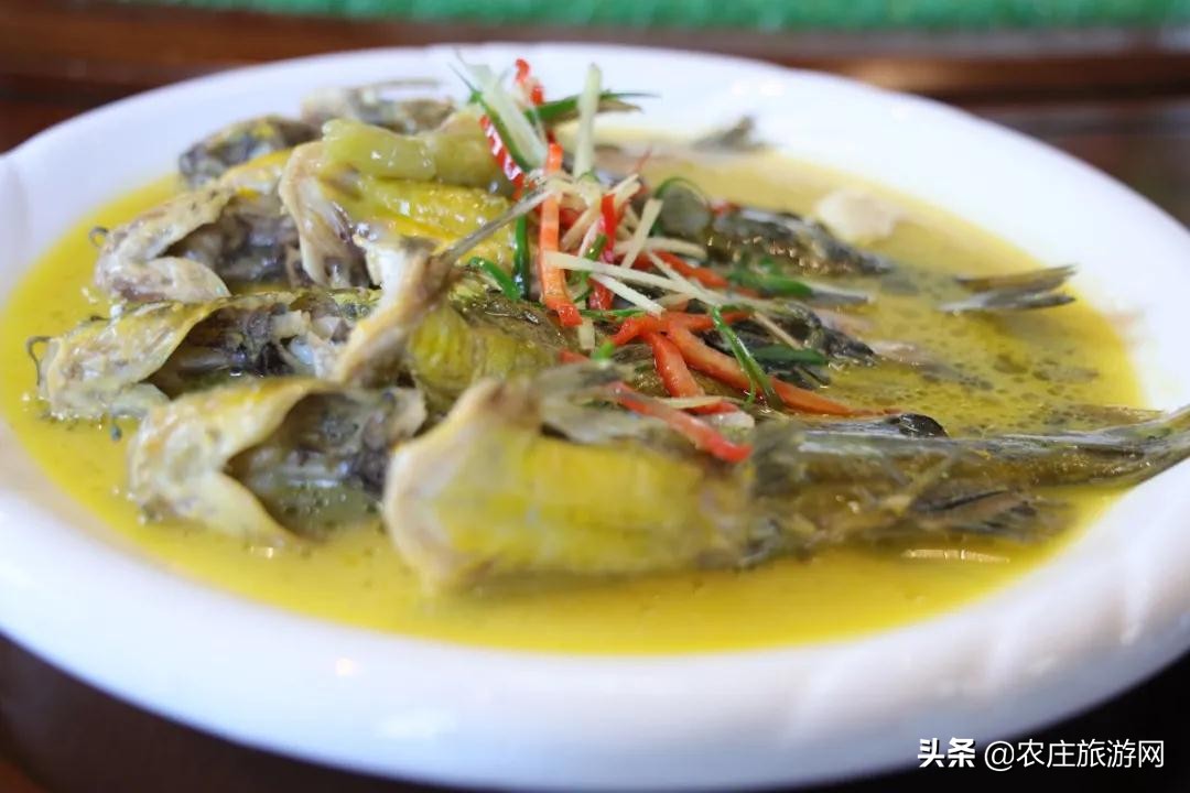 逛水城、登大涪山、吃湖鲜...长荡湖邂逅属于你的秋