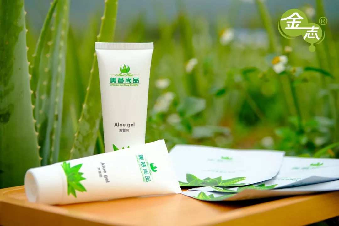 跨越20年的芦荟情谊