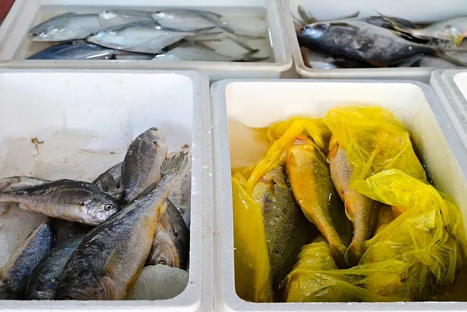 逛逛早市感受一下人间烟火的味道,最值得逛的早市