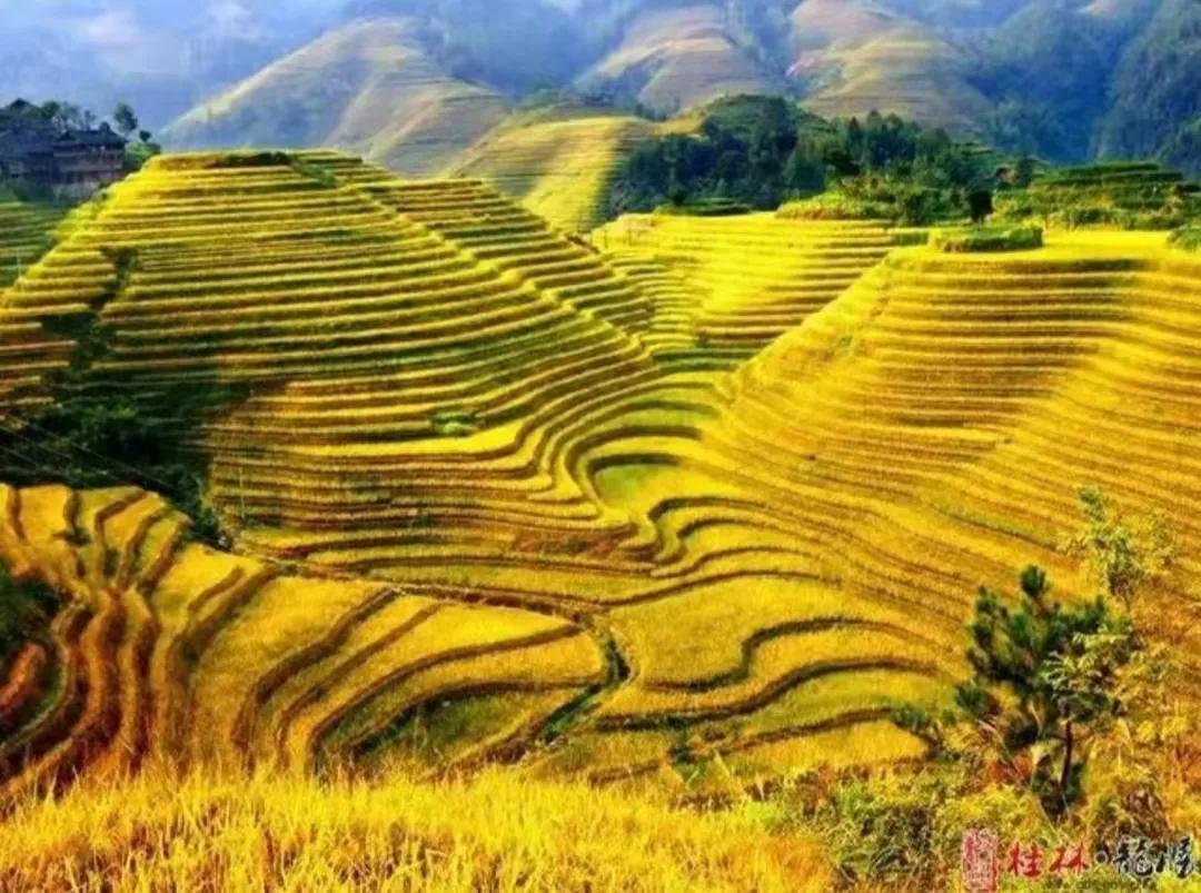 易经中的损卦是什么,易经中损卦的人生感悟