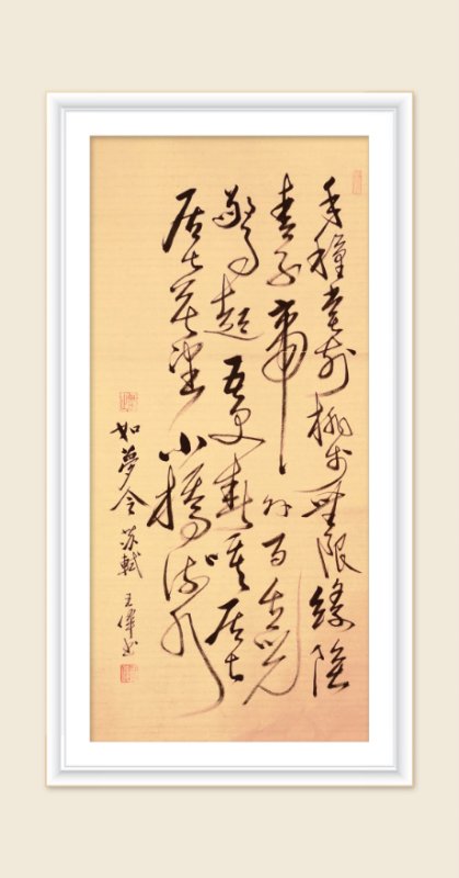 巜以苏轼之名，品味宋代极致美学》——王伟书法之十五