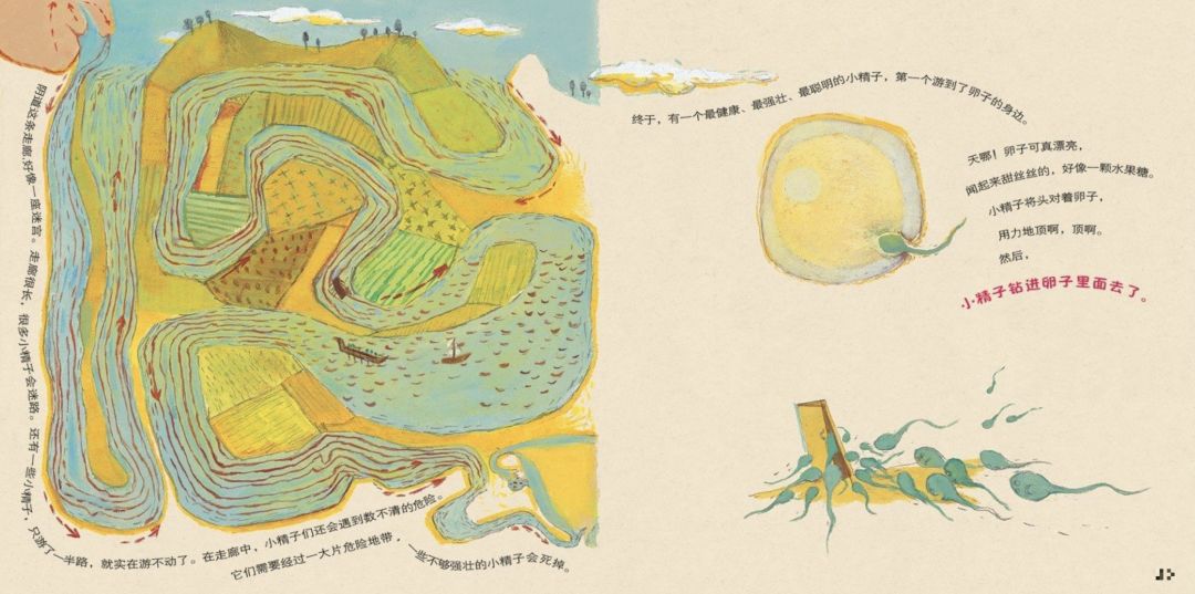 性知识教育其实是小儿科，难的是怎么做性关系教育