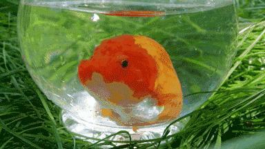 自己眼皮跳可以预测好事坏事,眼皮跳是福祸预兆吗