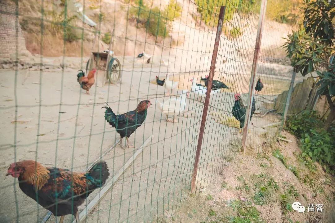 微时光田东,微时光美好生活