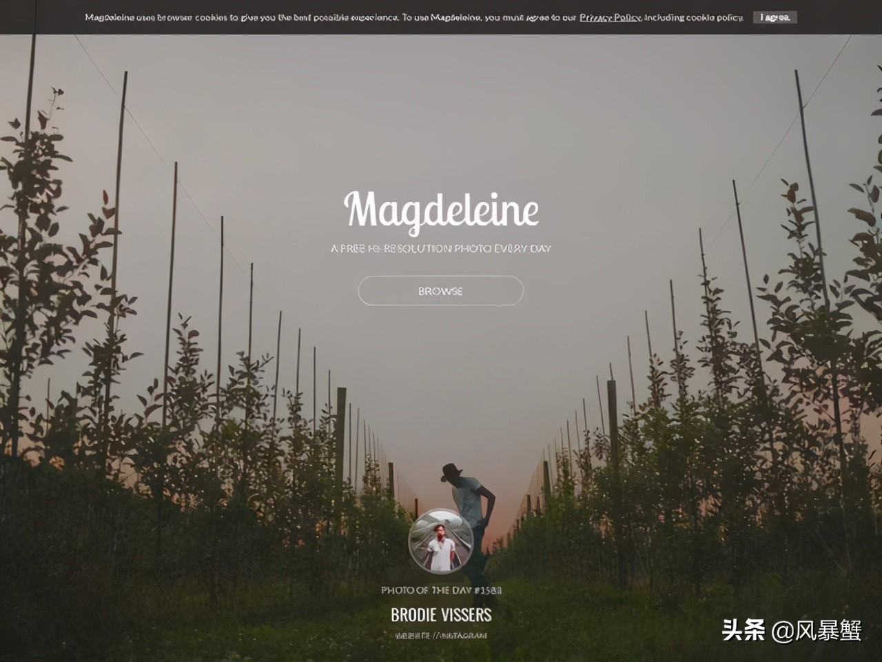 自媒体图片免费网站,自媒体如何收集无版权图片