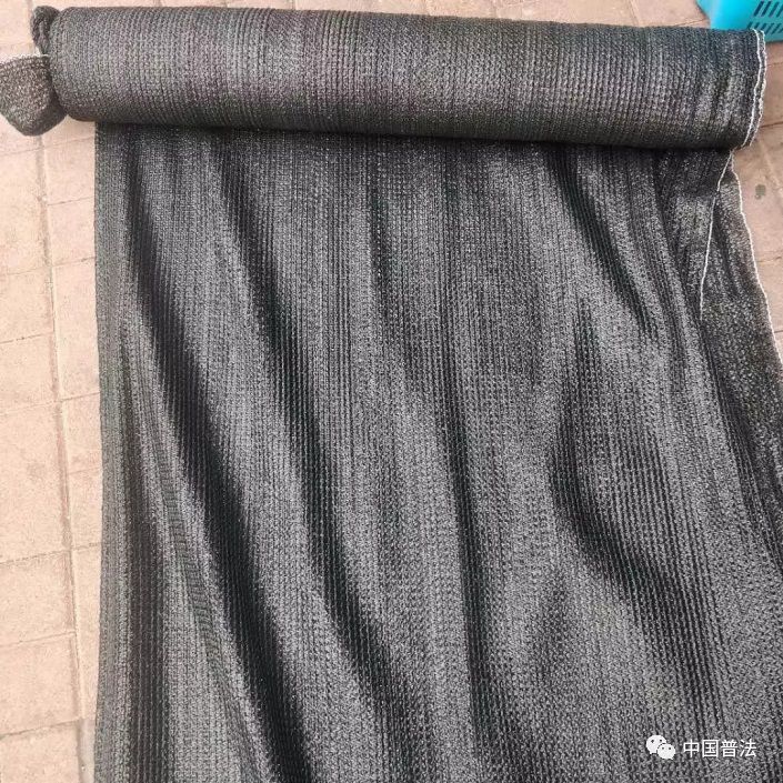 三峡怪物之谜,三峡大坝里的奇怪生物