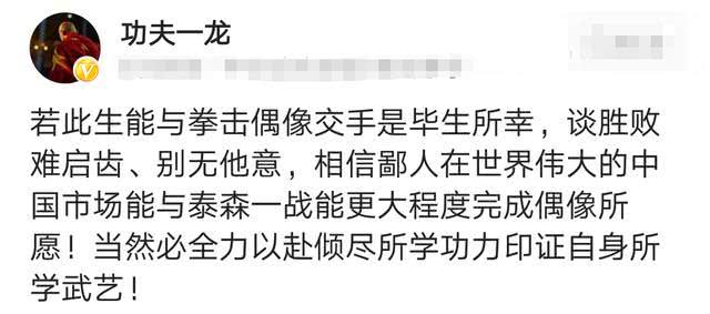 一龙拳击武术视频,一龙挑战泰森泰森的回应视频