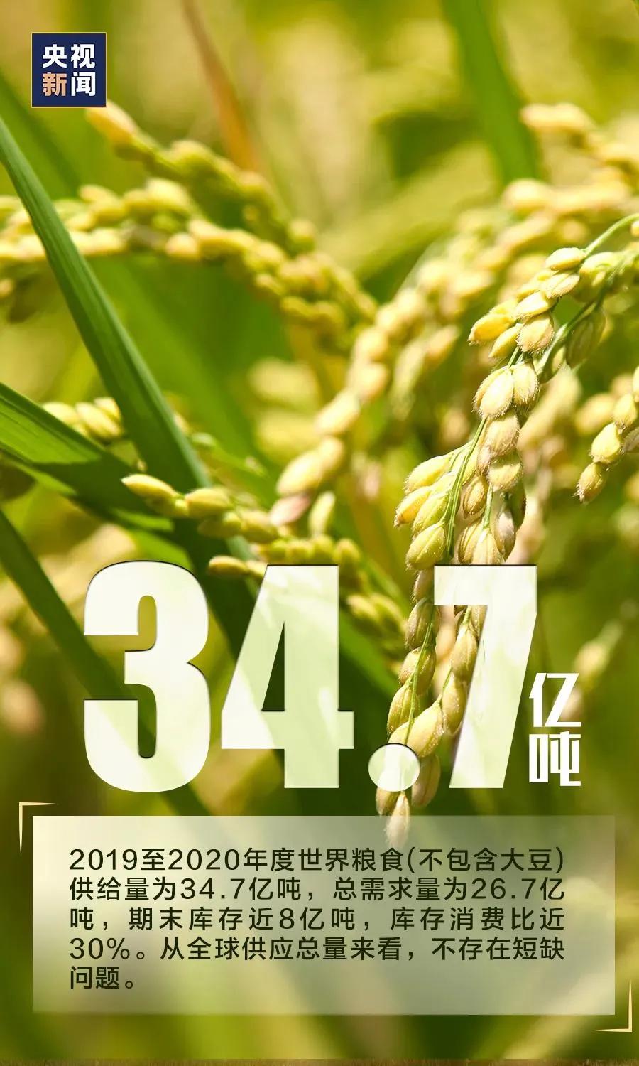 万全实验小学怎么样,万全镇新学校什么时候盖