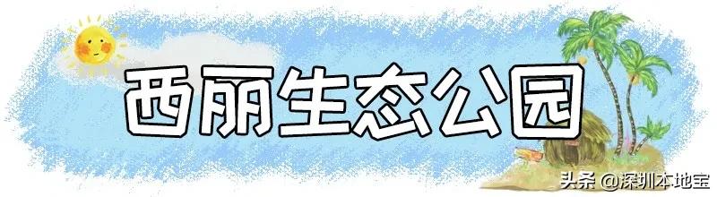 深圳100个免费景点,深圳免费100个景点