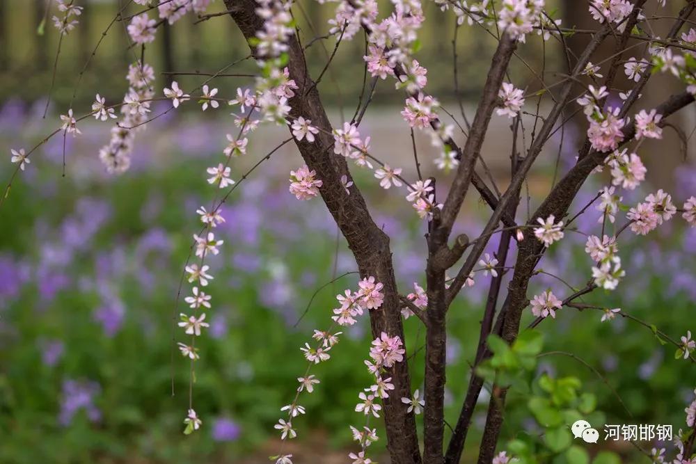 娌抽挗閭挗閾佽矾,娌抽挗閭挗楂樼倝