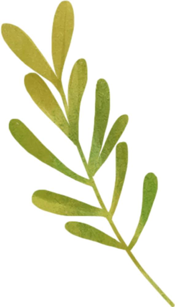 珠宝背后的故事纪录片,宝格丽珠宝最经典款式