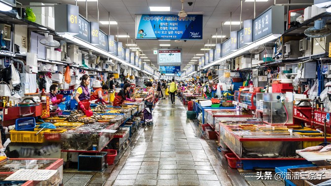 去韩国不购物回来的感受,去韩国一定要买什么