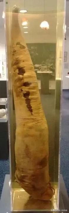 这些猫狗的照片,我也就看了10000多遍!