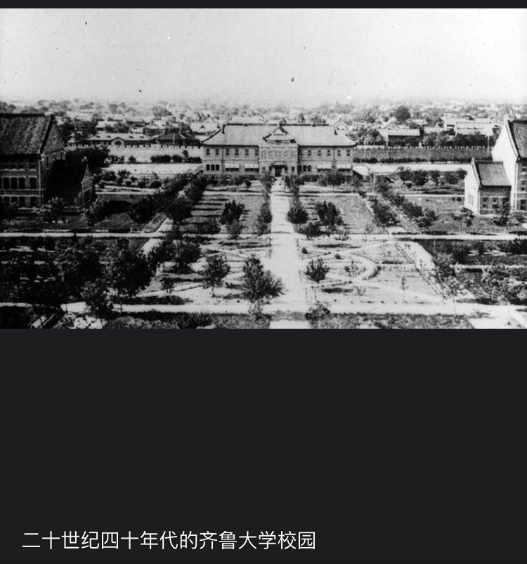 齐鲁大学最新排名,齐鲁大学排行榜