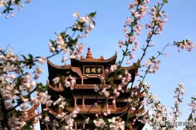 青岛出发五一特价机票,8月去哪的机票最便宜