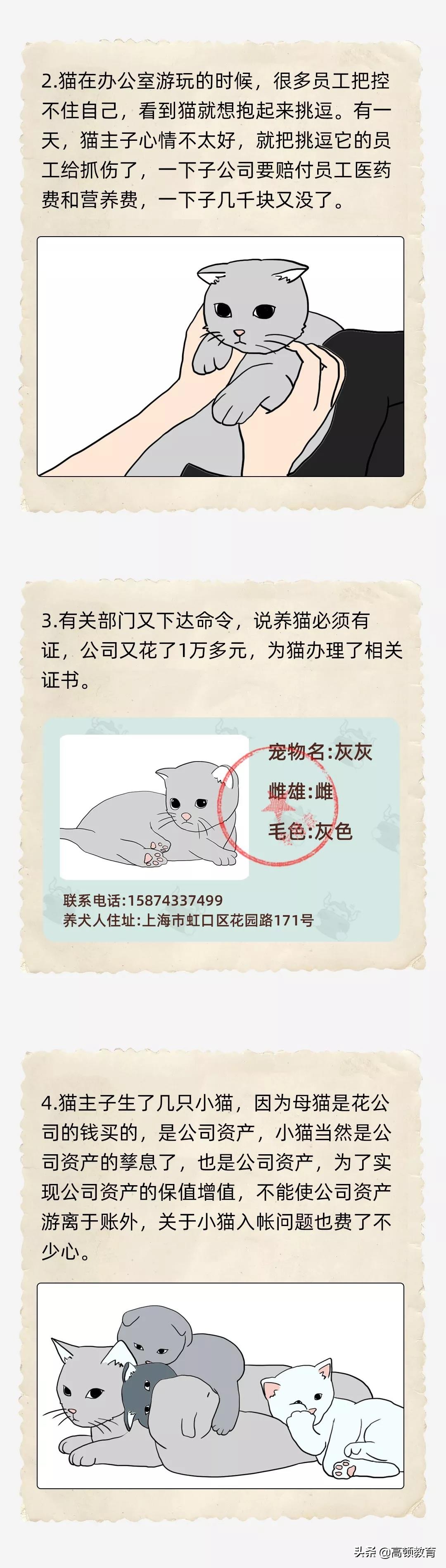 公司买个猫怎么处理,公司买的猫怎么入账