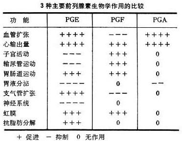 月经肚子疼腰痛,骨盆前倾为啥会月经紊乱