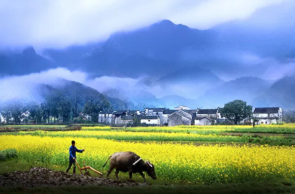去一次大西北等于远行十次,去宁夏旅游的最佳地方