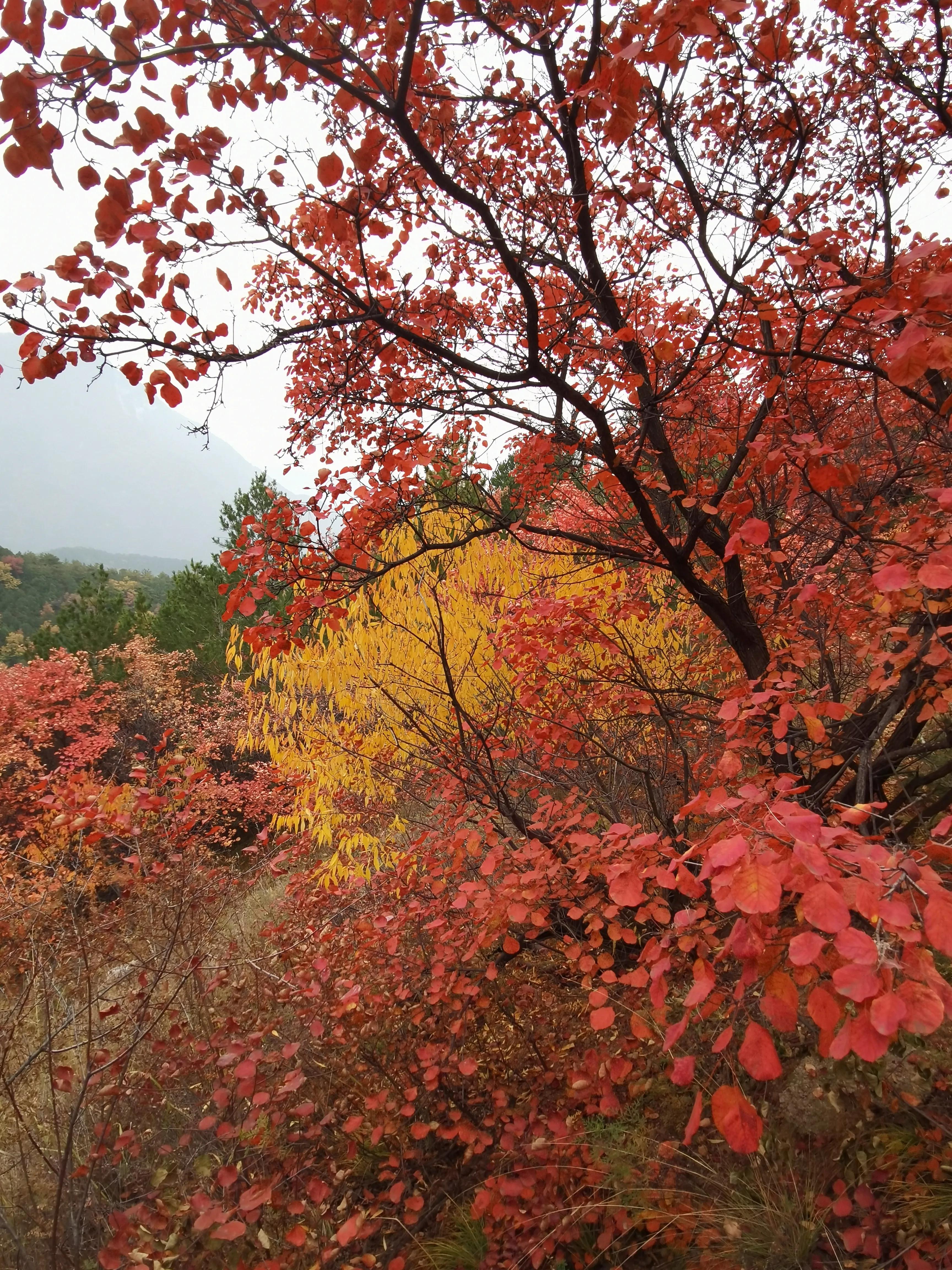 退休的生活丰富多彩幸福快乐,退休生活开启新的快乐生活