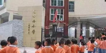 广州白云区民办幼升小排名一览表,公办幼升小学校排名一览表