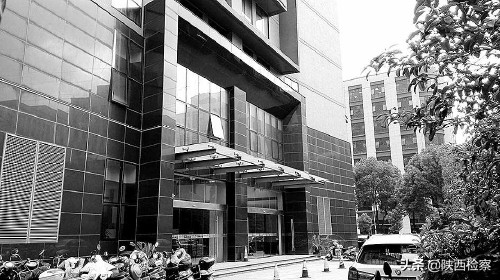 山茶油骗局揭秘新闻视频在线观看,山茶油传销套路案例