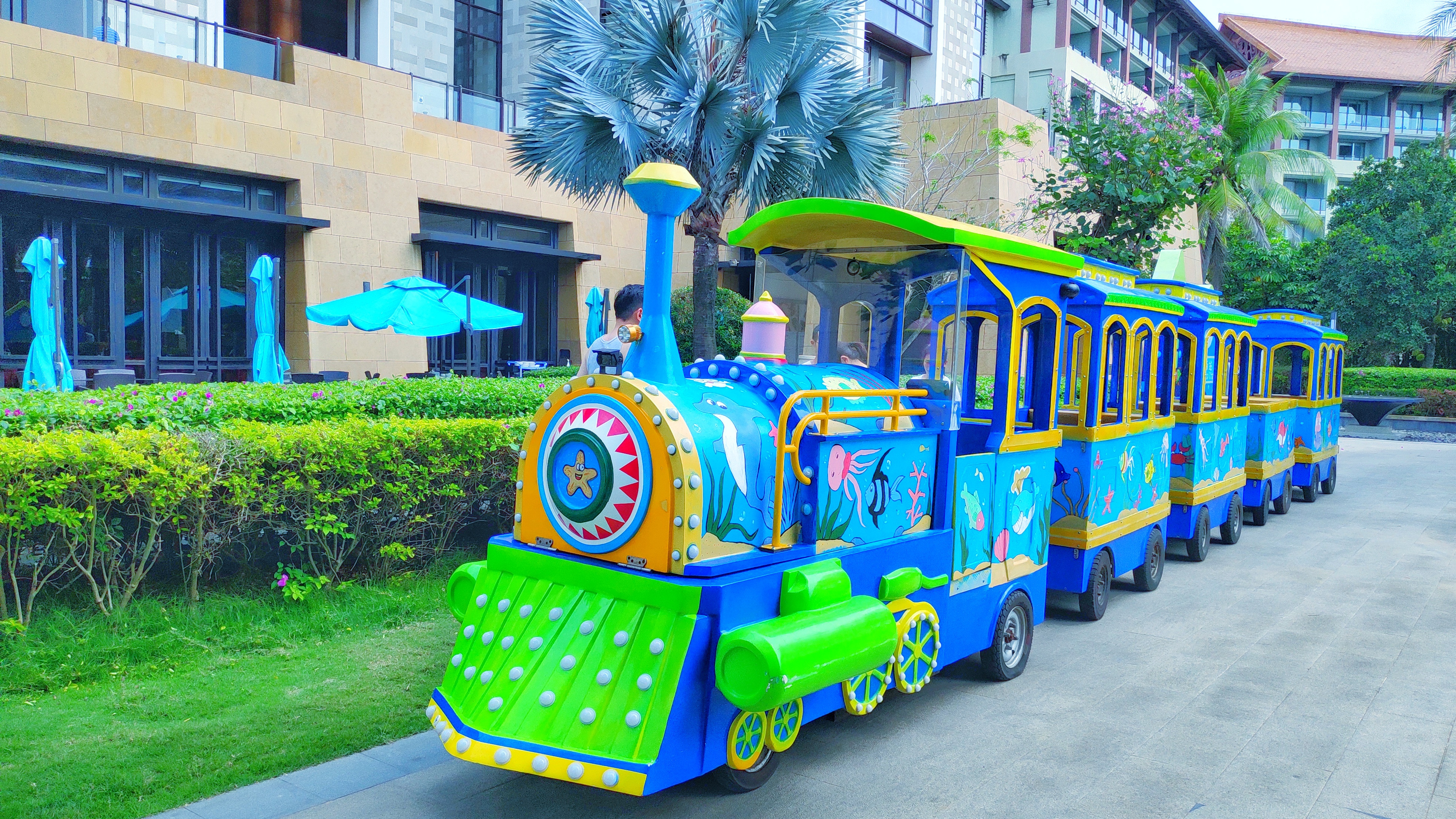 都是网红惹的祸,都是网红惹的祸完整版