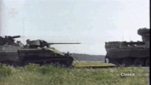 鼬鼠步兵战车,日耳曼鼬鼠坦克