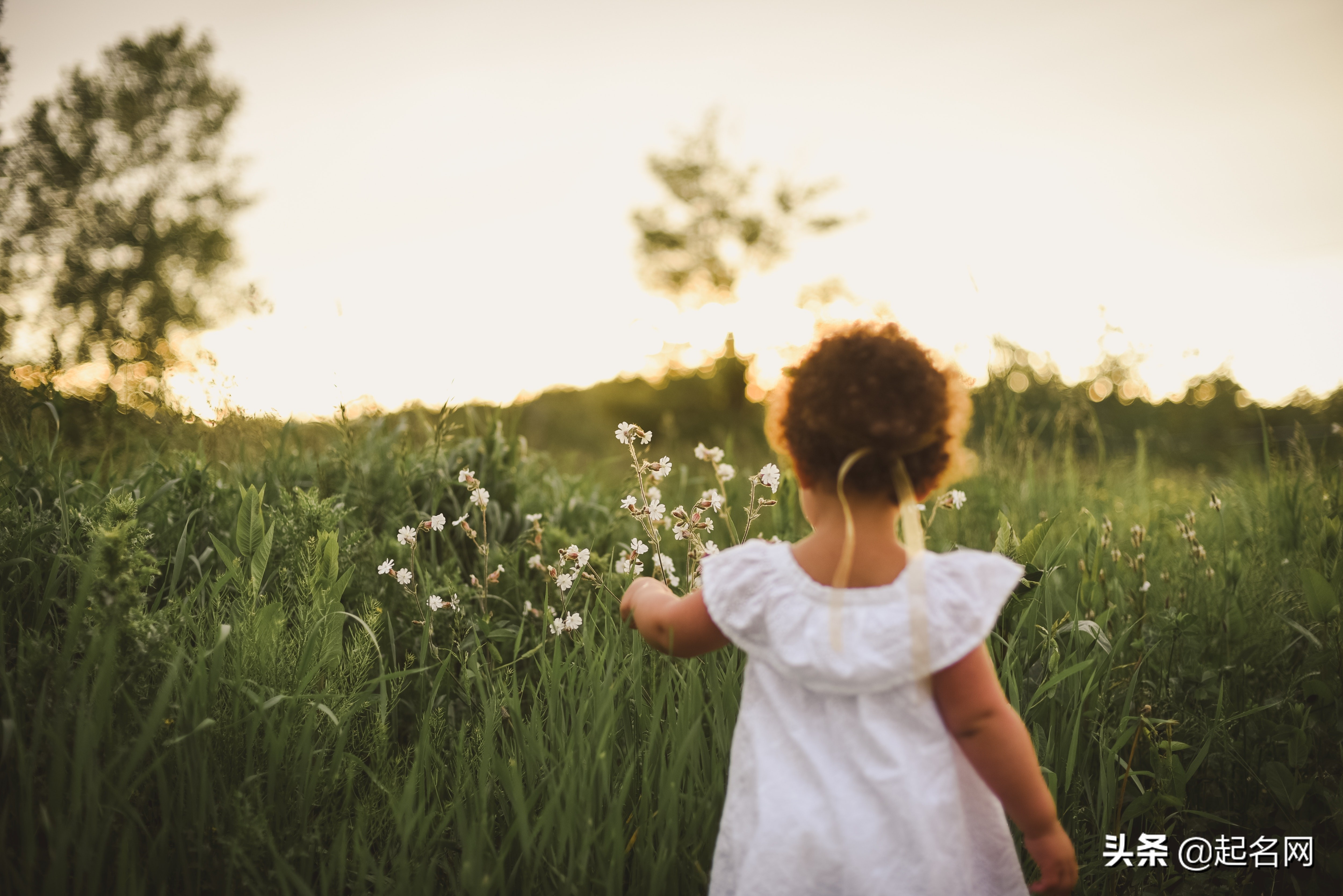 糖度超标的女生,甜到蛀牙的女孩名