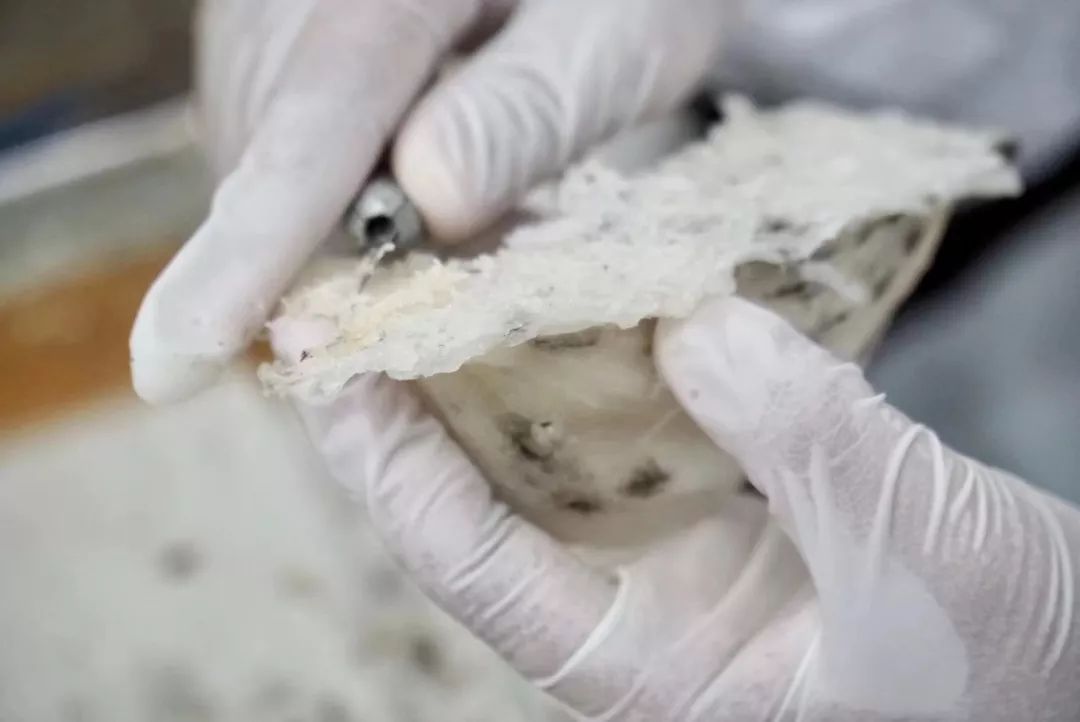 花式鲜炖燕窝推荐,花式鲜炖燕窝给你不一样味道