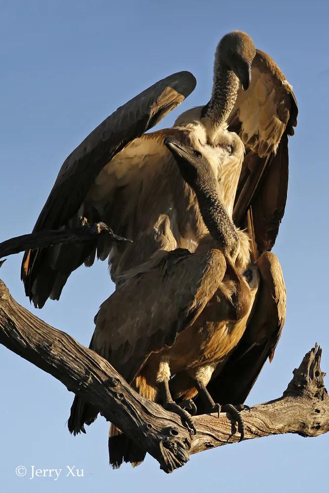 情人节,就该和爱的人*爱做**做的事