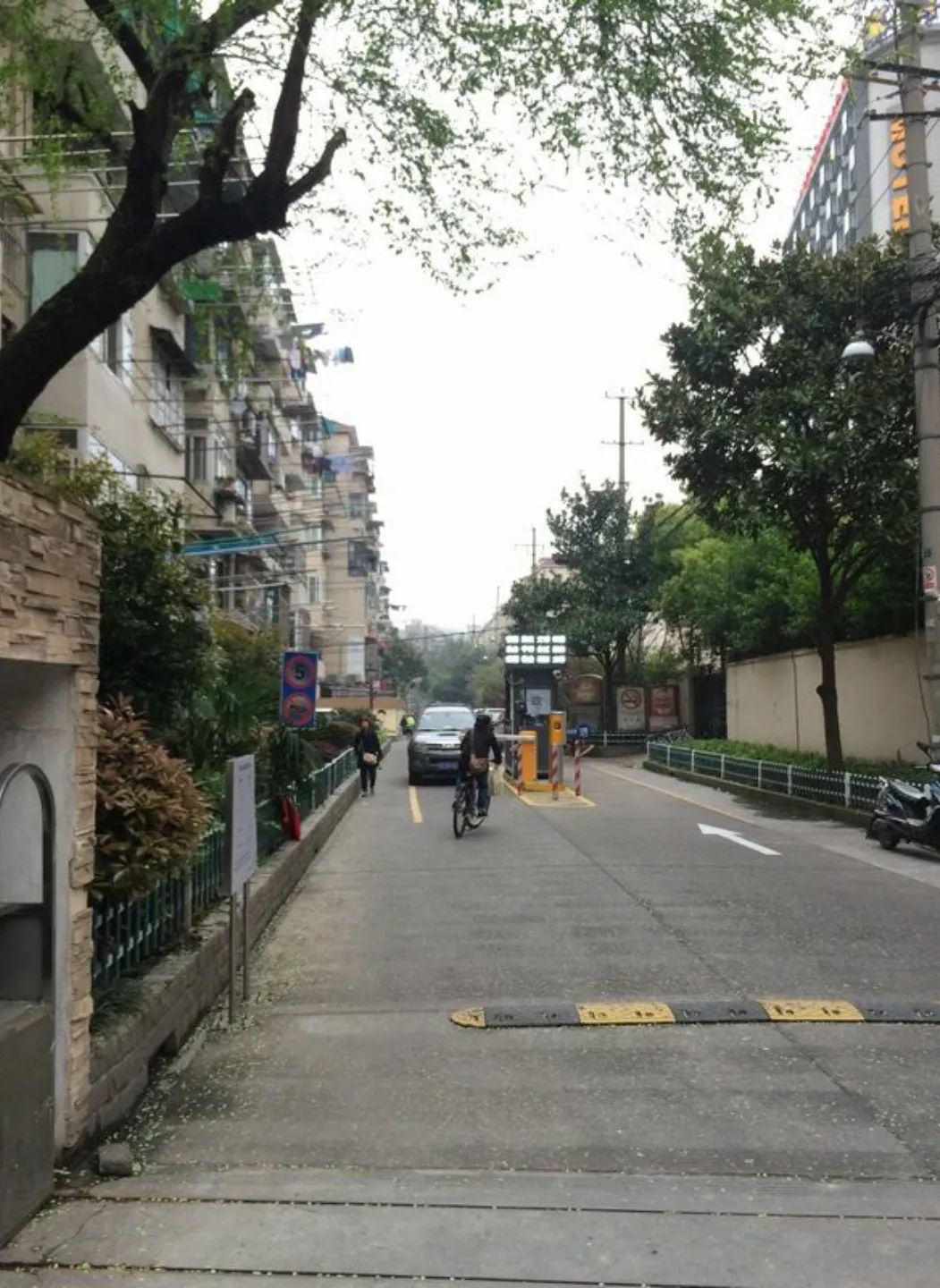 复旦系再添猛将!上海又新建一所九年一贯制!今年就要入户1年了